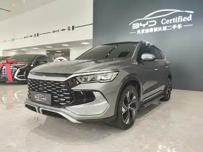 BYD Song Pro New Energy 2024
