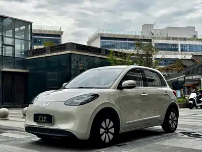 Wuling Motors Bingo 2024