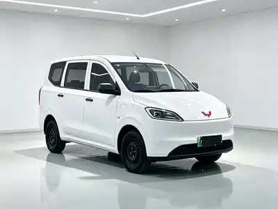 Wuling Motors Hongguang New Energy 2024