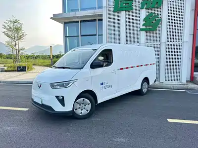 Wuling Motors Yangguang 2024