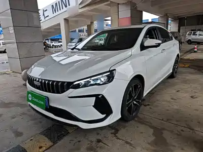 Geely Binrui 2024