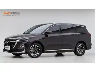 Wuling Motors Victory 2025