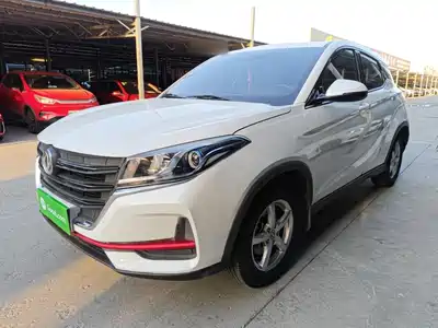 Dongfeng Fengguang Fengon 500 2021