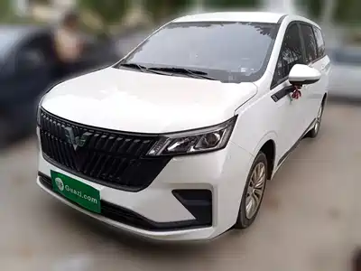 Wuling Motors Jiachen 2024