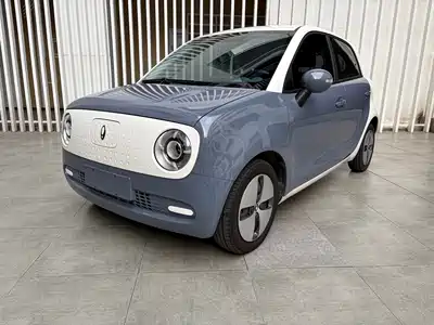 Ora Black Cat 2022