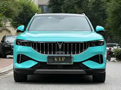 Voyah Auto FREE 2022