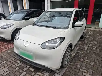 Wuling Motors Bingo 2023