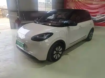 Wuling Motors Bingo 2024