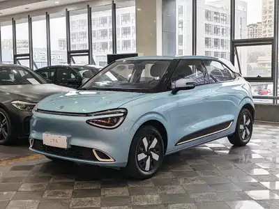 Dongfeng Yipai Nano 01 2024