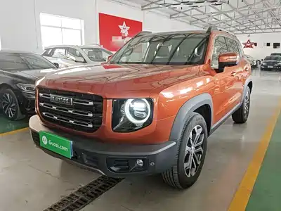 Haval Big Dog 2021