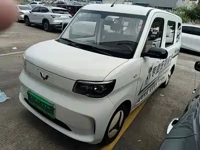 Wuling Motors Zhiguang NEV 2025