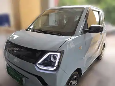 Dongfeng Fengguang MINIEV 2022