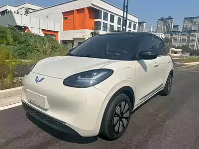 Wuling Motors Bingo 2025