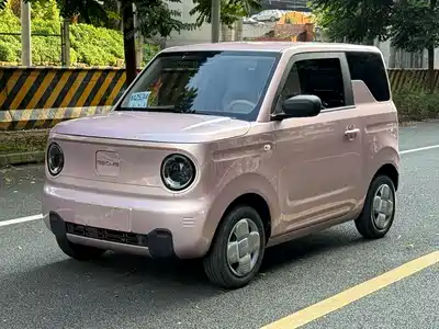 Geely Galaxy Panda 2023