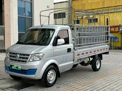 Ruichi New Energy EC31 2023