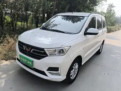Wuling Motors Hongguang 2021