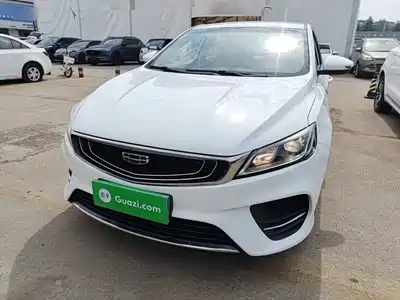 Geely Binrui 2019