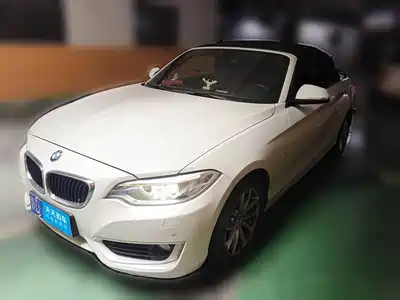 BMW 2 Series (Import) 2016