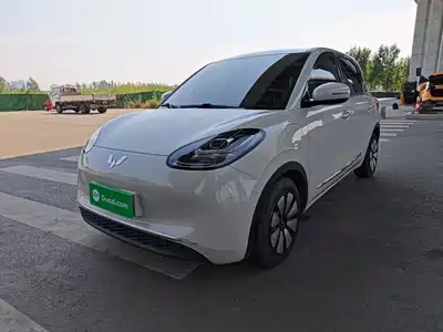 Wuling Motors Bingo 2024