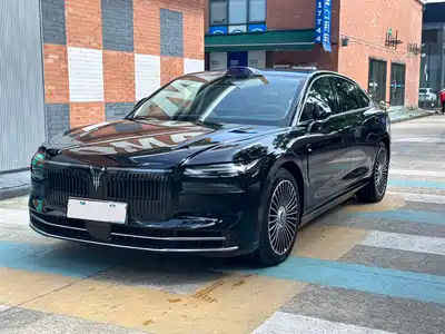 Voyah Auto Zhuiguang L 2025