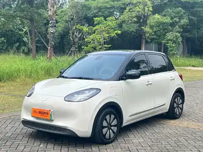 Wuling Motors Bingo 2024