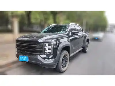 Foton Mars 2024