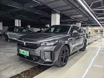 Voyah Auto FREE 2024