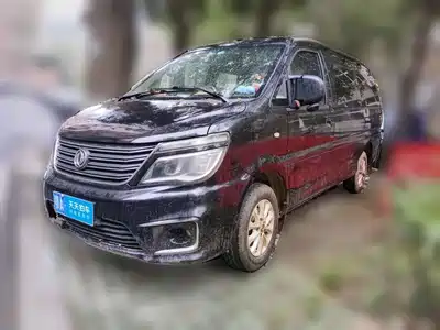 Dongfeng Fengxing Lingzhi 2018