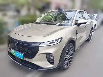Voyah Auto Zhiyin 2025