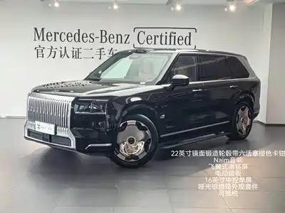 ZEEKR 9X 2025