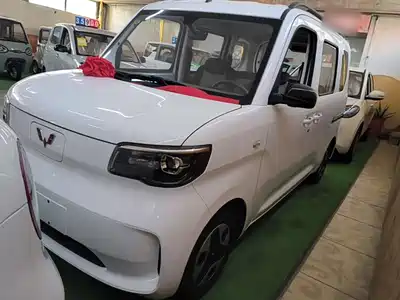 Wuling Motors Zhiguang NEV 2026