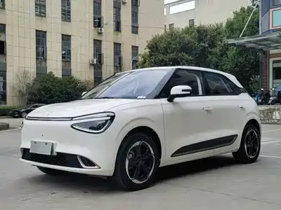 Dongfeng Yipai Nano 01 2025