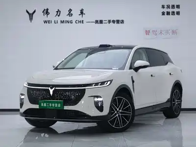 Voyah Auto Zhiyin 2025