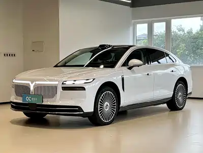 Voyah Auto Zhuiguang L 2025