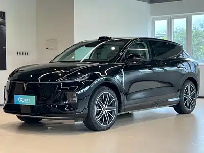 Voyah Auto Zhiyin 2025