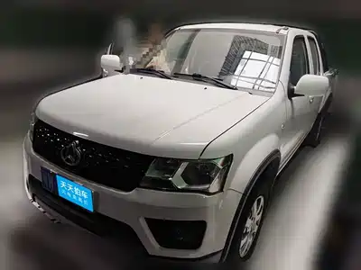 Changan Kaicheng F300 2024