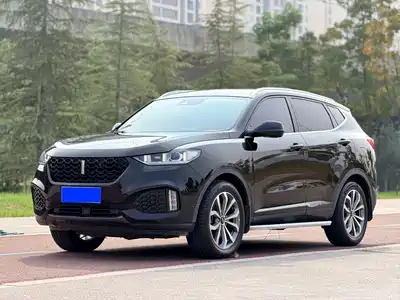 WEY VV6 2019