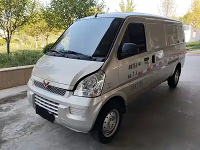 Wuling Motors Rongguang 2021
