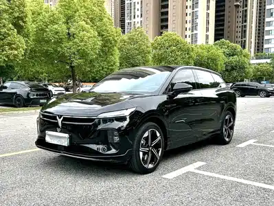 Voyah Auto Zhiyin 2025