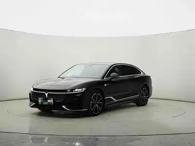 Voyah Auto Zhuiguang 2024
