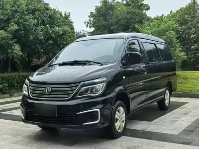 Dongfeng Fengxing Lingzhi 2021