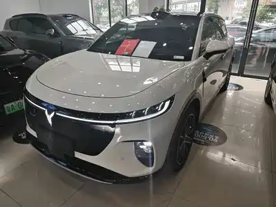 Voyah Auto Zhiyin 2025