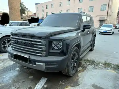 Haval Meng Long NEV 2024