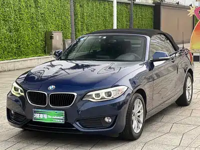 BMW 2 Series (Import) 2017