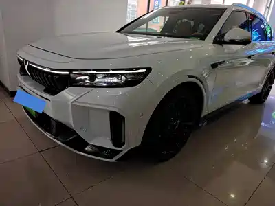 Voyah Auto FREE 2024