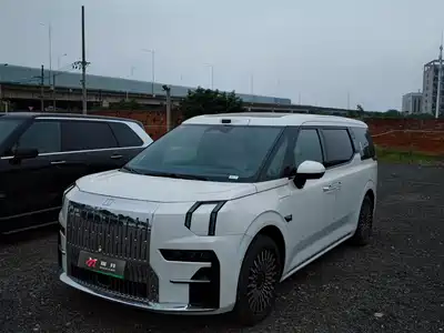 ZEEKR 009 2025