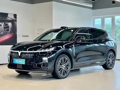 Voyah Auto Zhiyin 2025