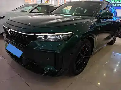 Voyah Auto FREE 2025