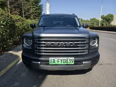 Haval Meng Long NEV 2025