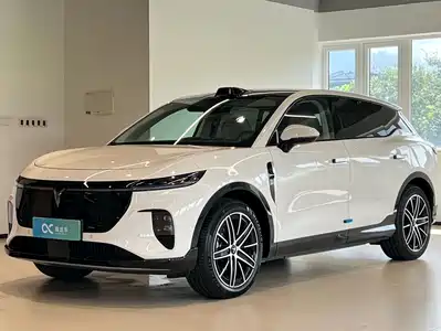 Voyah Auto Zhiyin 2025
